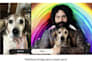 create custom photoshop memes, troll images, and funny edits