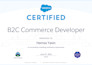 be your expert sfcc salesforce commerce cloud sfra, sg, pwa developer or teach