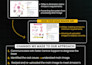 create amazon listing merge parent child variation creation for all category