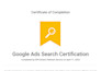 setup, manage and optimize google ads and PPC campaign audit like a pro