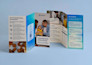 design bifold, trifold brochure