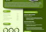be a wordpress website developer and create wordpress website