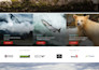 build website development, full stack saas web app developer, frontend developer