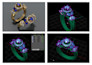 design realistic 3d diamond ring models for render or printing