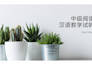 teach mandarin chinese with cultural insights and customized lessons
