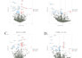 do bioinformatics, ngs, rnaseq and transcriptome analysis