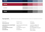 design a custom brand identity kit with logo and style guide