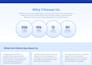 build a responsive react agency site using tailwind and vite