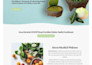 design or redesign wordpress website