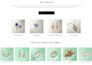 create wordpress website design and development