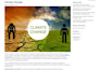 develop professional wordpress website