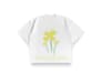 design creative t shirt graphics