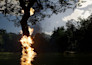 create a cinematic 3d animation for your project