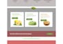 design a professional wordpress website page