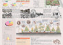 design architectural poster or layout presentation board