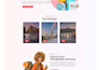create responsive wordpress website design and development