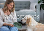 create ugc dog content for tiktok or video ads social media