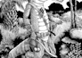 draw a detailed black and white engraving style illustration
