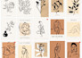 provide 200 boho wall art bundle l instant download l commercial use