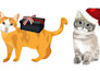 draw your dog portrait, cat vector and any pet illustration