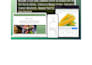 full stack mern web application, saas, or dashboard with secure backend