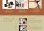 design and develop professional wordpress responsive website