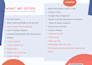 make a dynamic professional website on wordpress