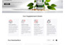 create a private label supplement shopify store, dropshipping store