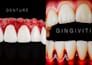 create dental illustrations for research papers, books