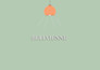create minimalist logo and bussiness card