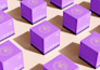 design premium product packaging for beauty, food, or lifestyle brands