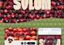 design a visual identity system that sets your brand apart