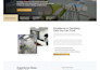 develop a responsive professional wordpress website
