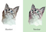 custom graphic design vector logo photoshop illustrator