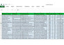 manage and optimize product listings professionally