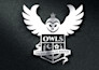 design a logo emblem for your team sport club or hattrick