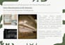 design custom PPT presentations for brands, projects, and pitches