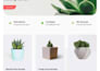 create a persuasive wordpress website that triggers action