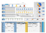 create professional excel chart,graph,pivot tables,dashboard