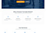 design and build a professional webflow website