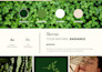 craft a luxury branding mood board