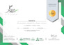 design and build your brand shopify store