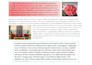 handwritten documents through word