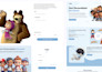 be full stack mern developer, full stack web developer