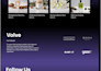 develop a professional wordpress, shopify, or wix website