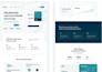 do web development as full stack web developer, frontend backend developer