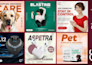 design brand consistent social media posts and ad creatives for your business