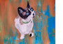 create a custom acrylic pet portrait