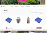 build a custom wordpress website, theme or plugin