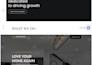 build a custom wordpress website, theme or plugin